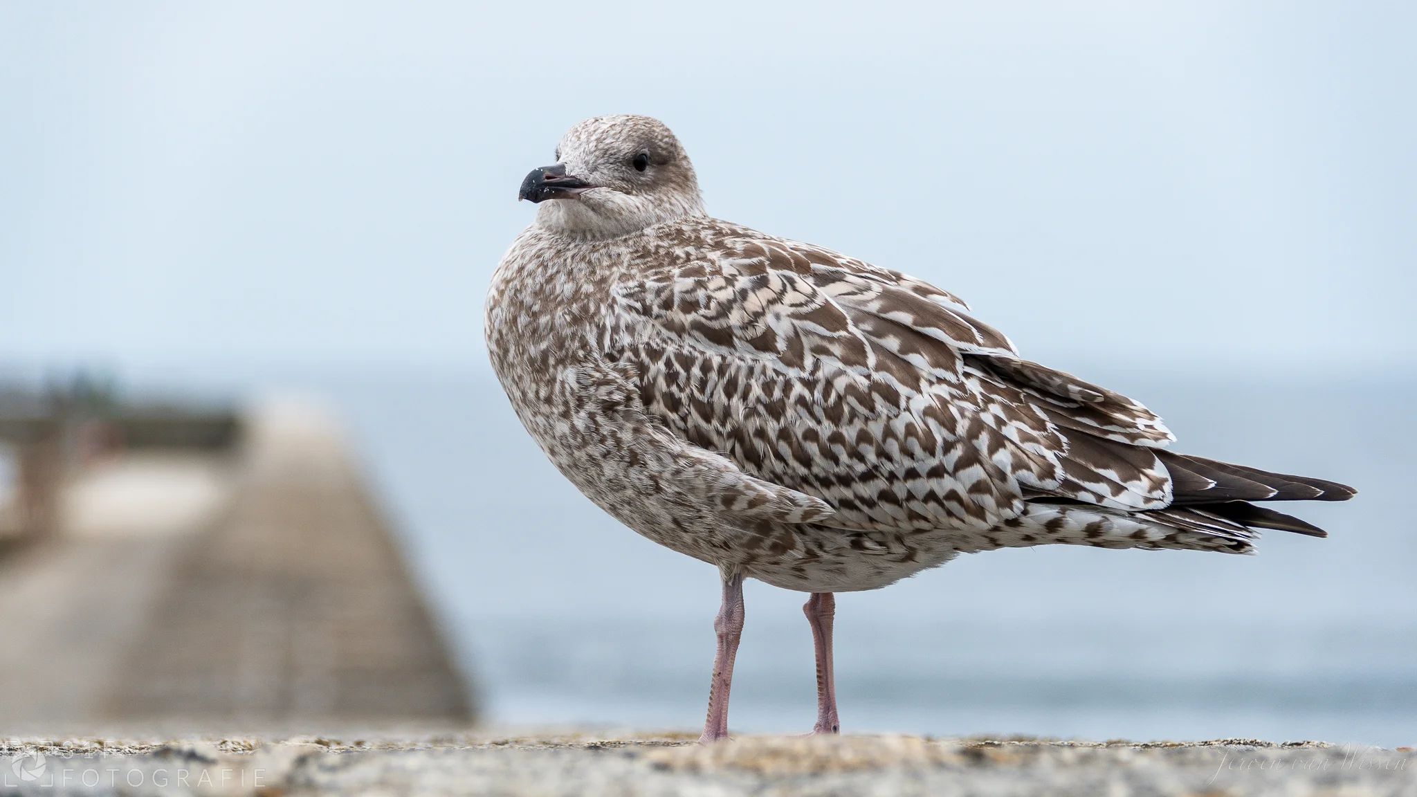 Don't look back too much