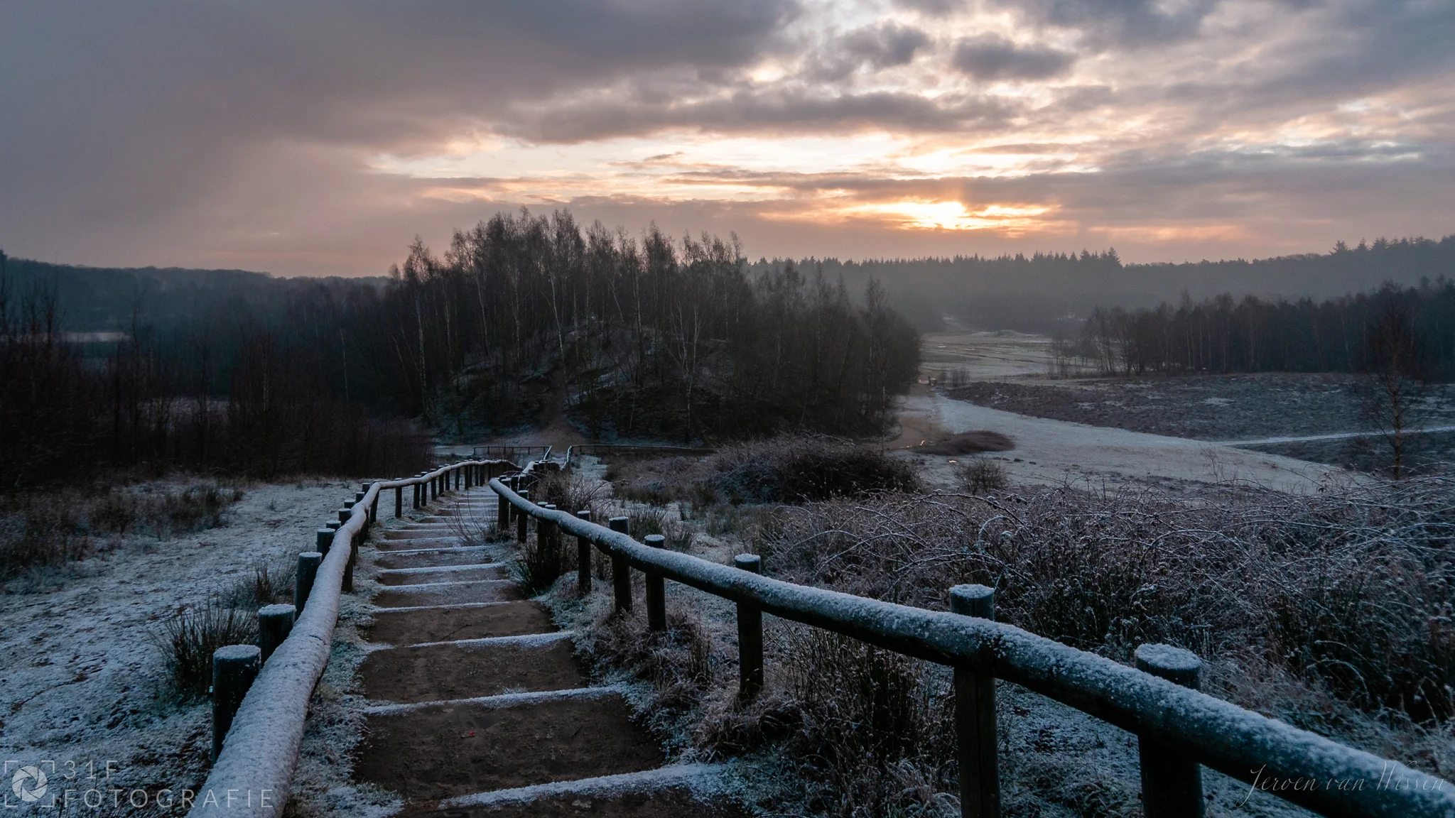Icy stairs in the forrest