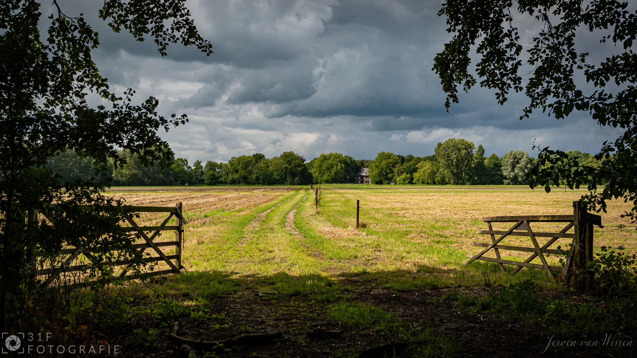 Dark clouded sky over a sunny field